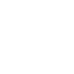 New Governance <br/> for Real Value